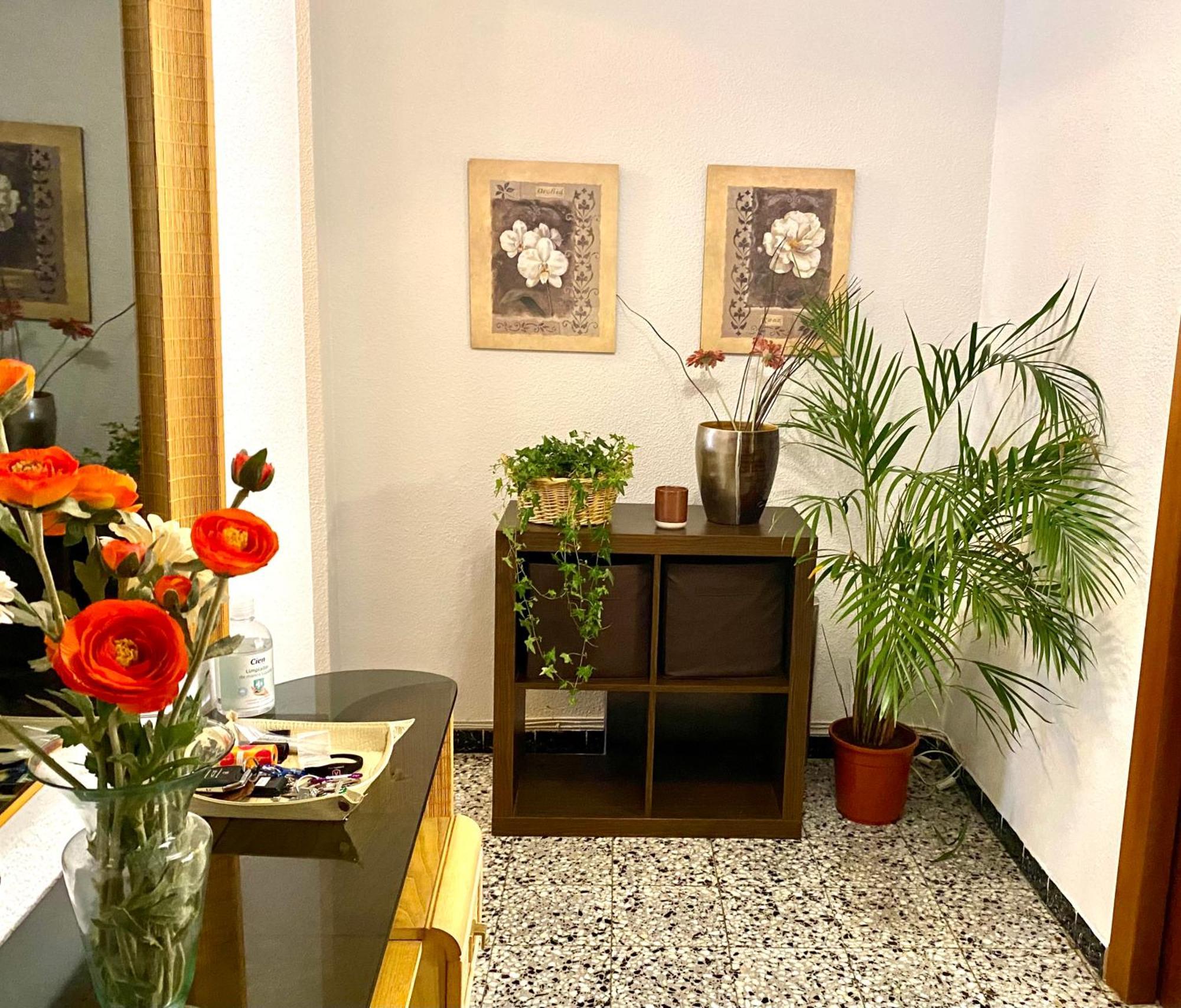 Habitacion My Home Alicante Buitenkant foto